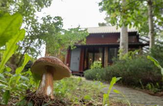 Leśniczówka Białogóra & jacuzzi - Foto 34