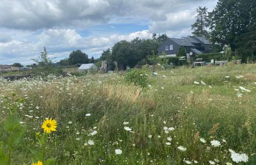 Ferienhaus Lotte Havelland - Photo 34