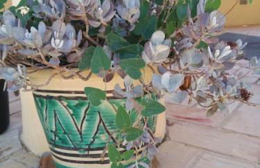 Casa do Sul - Foto 11