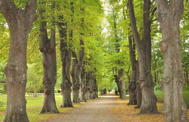 Charming Retreat on Eno - By Traum Ferienwohnungen - Foto 11