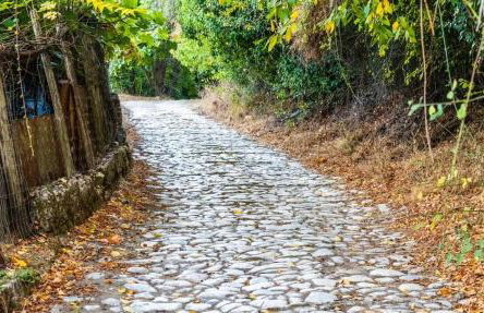 Agiasos House - Foto 11