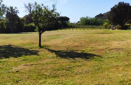 Podere Il Ritorno - Foto 39