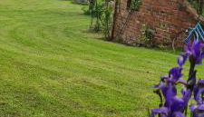 Sowi Dworek - Foto 4