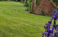 Sowi Dworek - Foto 4