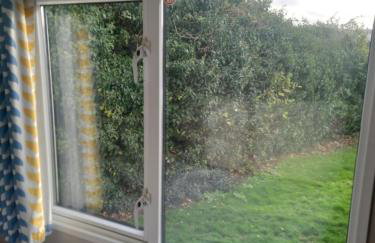 surf shack - Foto 49