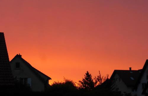 Ferienwohnung Kollmann - Foto 15