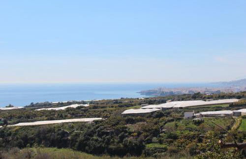 Apartamentos Maro VG - Foto 21