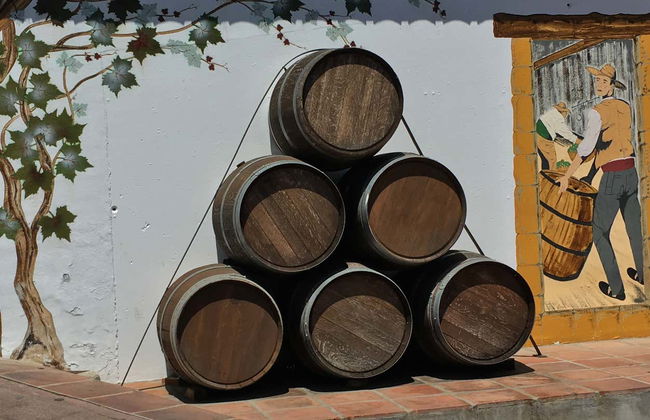 Excursión a Cómpeta con cata de vinos - Foto 5