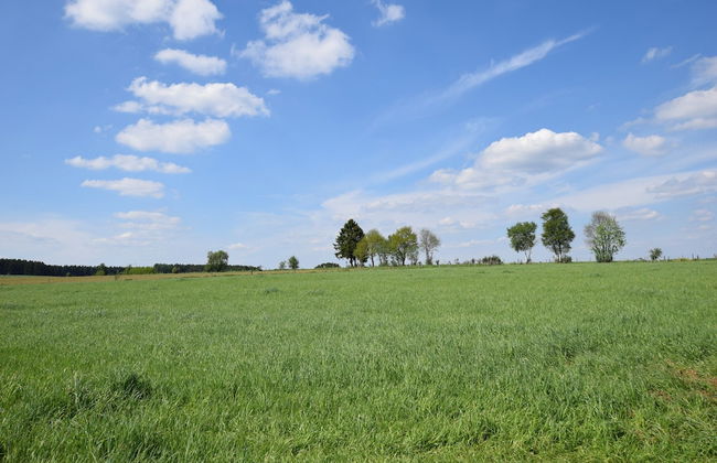 Villa in Houffalize With Infrared Sauna - Foto 63