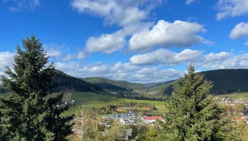 Studio Tonbachblick Baiersbronn - Photo 4