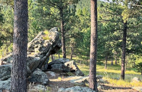 Mountain-Top Haven - Foto 23