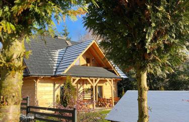 Borowikowe Zacisze drewniane domy z kominkami - Foto 68