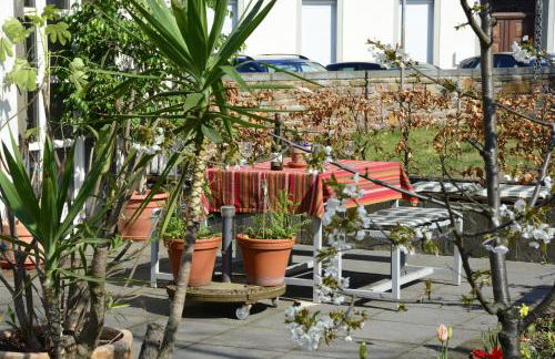 Stiftsherrenhaus - Foto 45