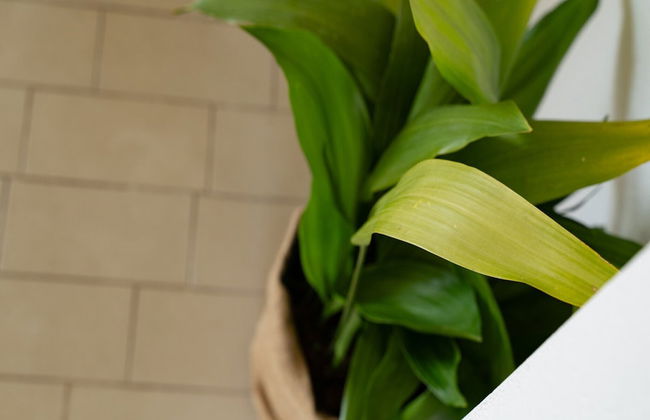 Apartment Konak - Foto 30