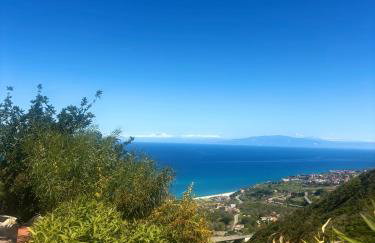 Rosa Life House - Photo 47