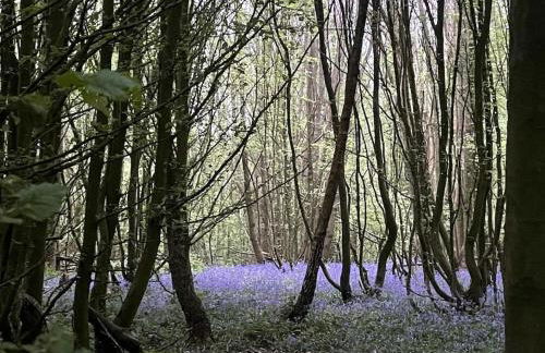 SunsetView - Foto 17