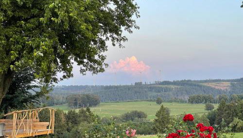 Ferienwohnung Bachem - Foto 2, Garden view