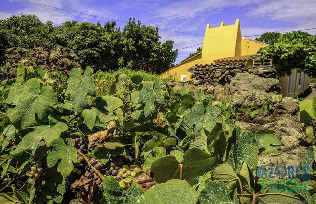 Casa do Merend rio in Biscoitos - Foto 4