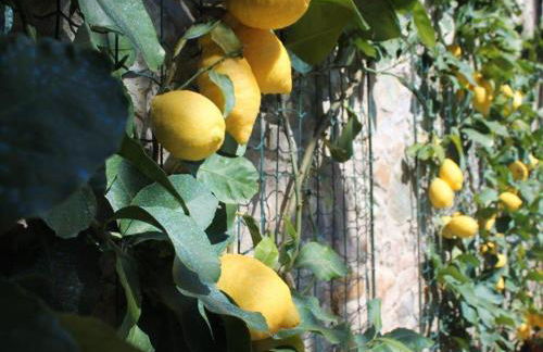 Capannori Stylish Townhouse - Foto 23