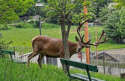 Casa Vacanze Domus Angela - Foto 12