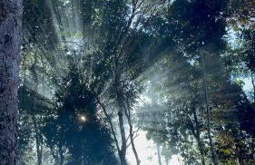 Caracol chácara completa privativa para casal e família - Foto 49