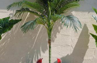 L'Escale Tropicale, appartement indépendant avec terrasse privative - Foto 36