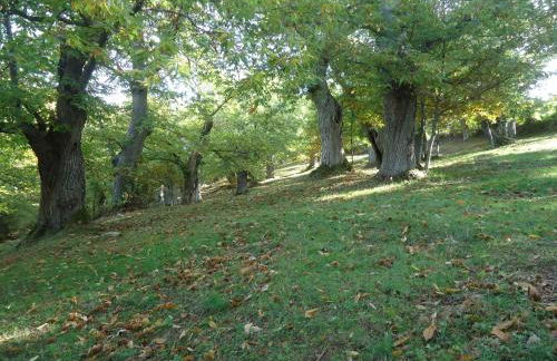 Agriturismo I Monti di Salecchio - Foto 31