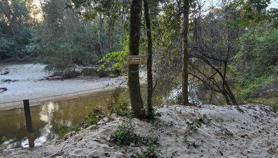 Glass House retreat on scenic Bogue Falaya river - Foto 4