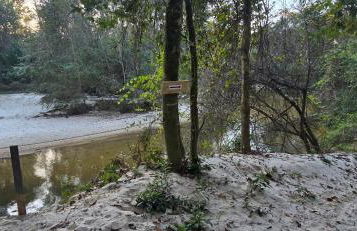 Glass House retreat on scenic Bogue Falaya river - Foto 4