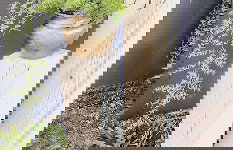 The Seagull Hermanus - Foto 51