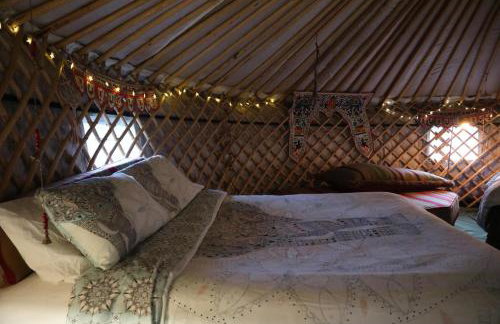 Hapus Yurt - Two Beautiful Yurts and Barn Cottage - Foto 11