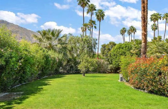 Indian Canyon Retreat - Foto 36