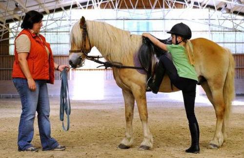 Haflinger Reiterhof Meura - Foto 26