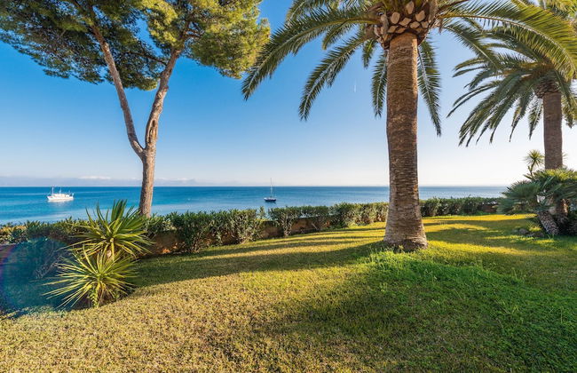 Sun Of Alcanada in Alc dia - Foto 23