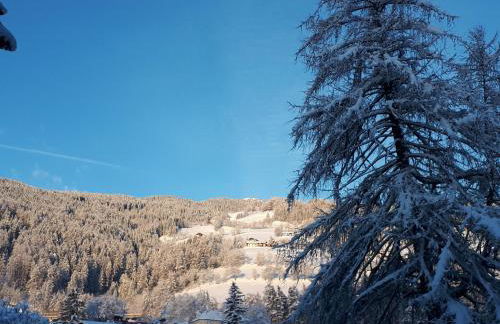 Appartements Margit - Photo 39