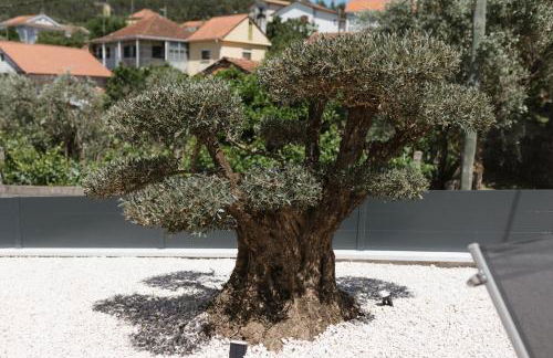 Ahcor Housing - Quinta do Paço - Foto 15