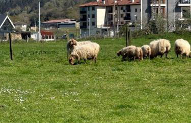 APARTAMENTO con Jardín en Bádames - Foto 2