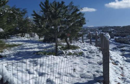 Agios Ioannis Stone Cottage with Private Heated Pool & Hydro-massage - Foto 43