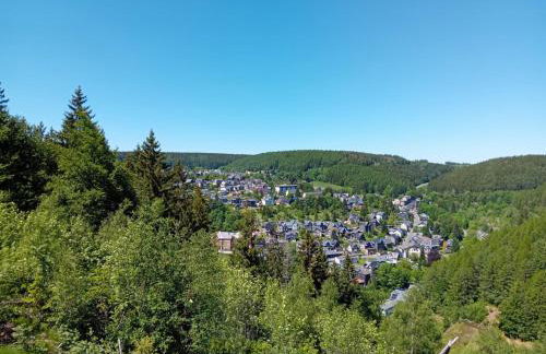 Lauschablick FeWo Thüringen - Foto 21