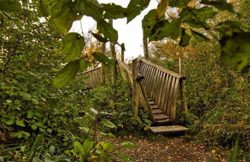 Ferienwohnung Ortenau - Foto 15