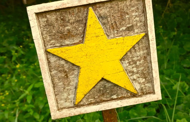 Clareira Cabanas - Photo 21