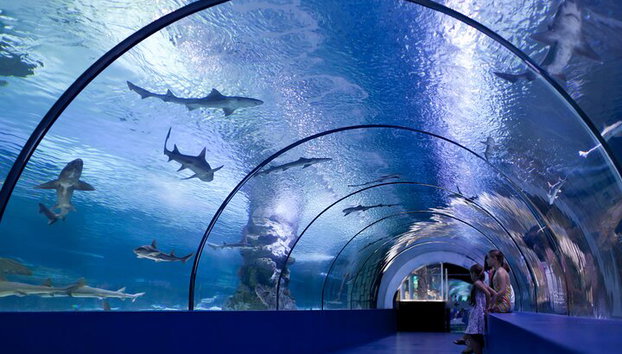 Alanya: Boleto de entrada al Acuario de Antalya con traslado al hotel - Foto 4