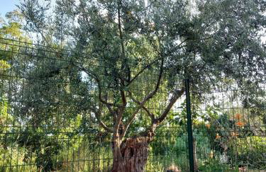 Apartment Kumbaya-Mušalež - Foto 16