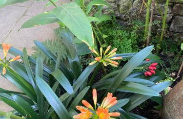 St Martin’s view - Foto 47