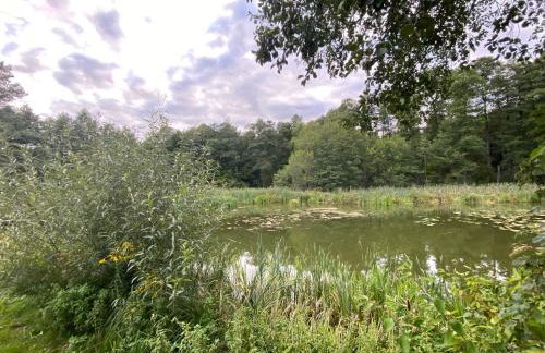 Mlyn Wodny EKO Hillar - Foto 47