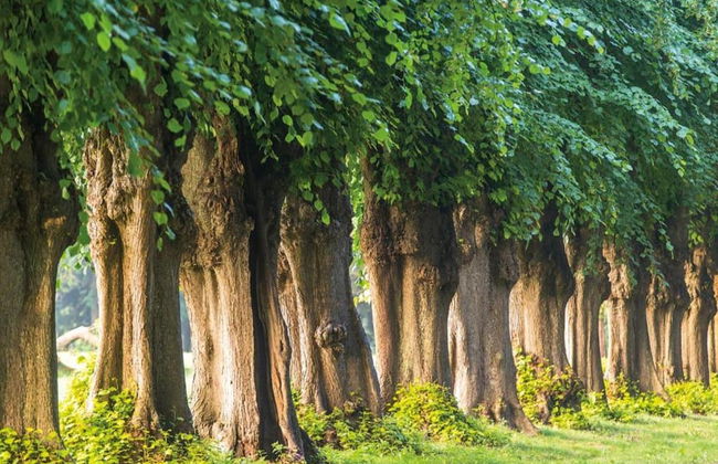 Ferienwohnung in Pepelow in Strandnahe - Foto 30