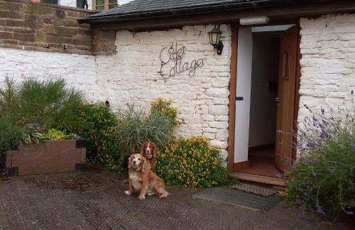 Thatch Close Cottages - Foto 8