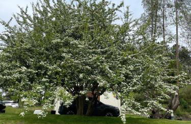 Hotel-Apartamento Rural Atxurra - Foto 41