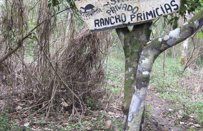 Tour of the Santa Cruz Highlands - Photo 2