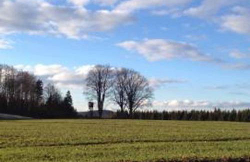 Ferienhaus Napoleon - Foto 42